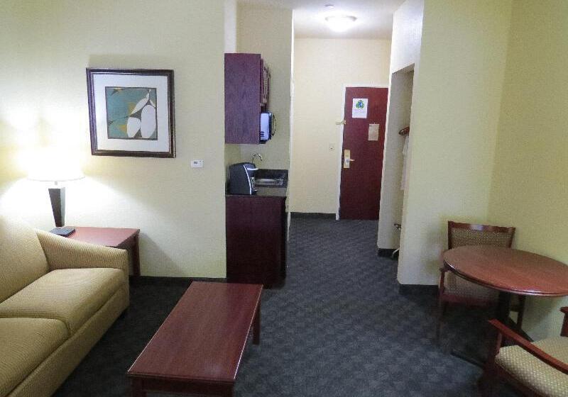Люкс Кровать Кинг, Holiday Inn Express Hotel & Suites Pampa, An Ihg