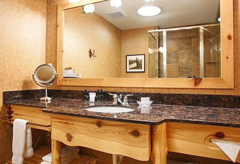 חדר סטנדרט מיטה זוגית, Best Western Premier The Lodge On Lake Detroit