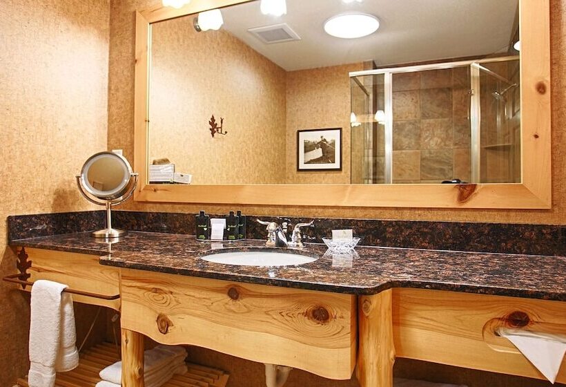 Номер Стандарт 2 Двуспальные Кровати, Best Western Premier The Lodge On Lake Detroit