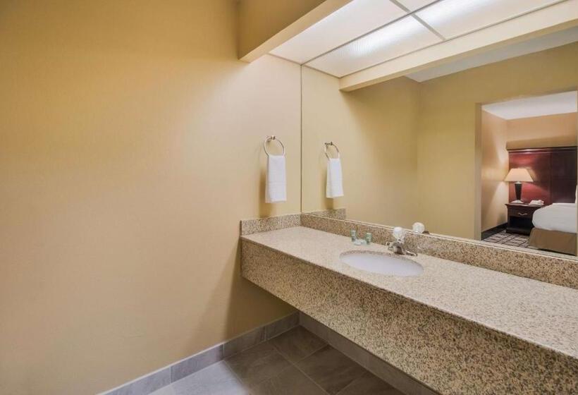 Номер Стандарт Кровать Кинг Адаптированный для Инвалидов, Best Western University Inn