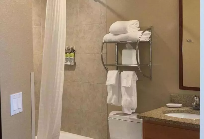 スイート, Candlewood Suites Craig Northwest, An Ihg