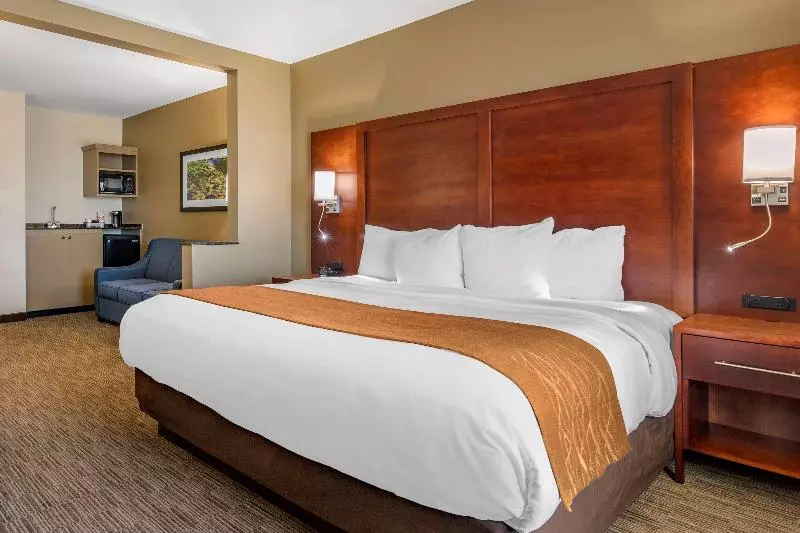 キングサイズベッドのスイートルーム, Comfort Inn & Suites
