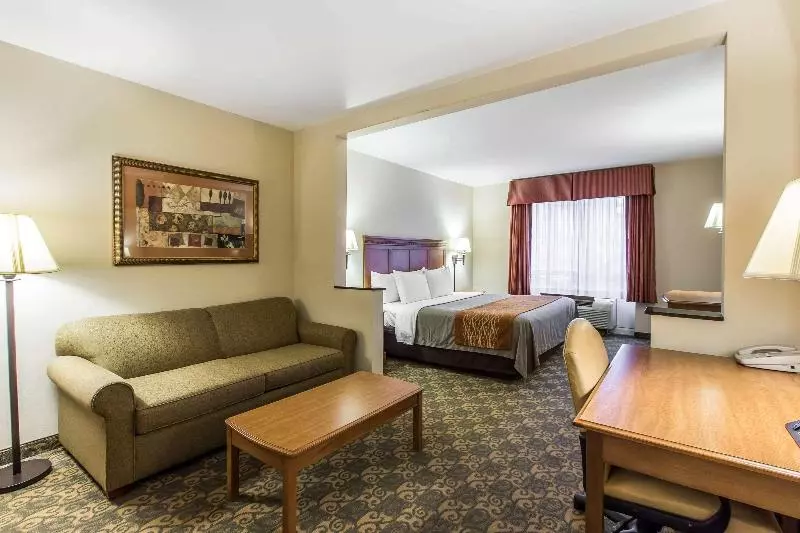キングサイズベッドのスイートルーム, Comfort Inn & Suites