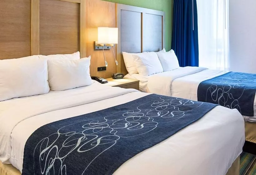 スイート, Comfort Suites Beachfront