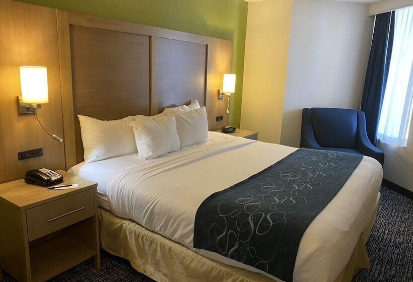 سوییت, Comfort Suites Beachfront