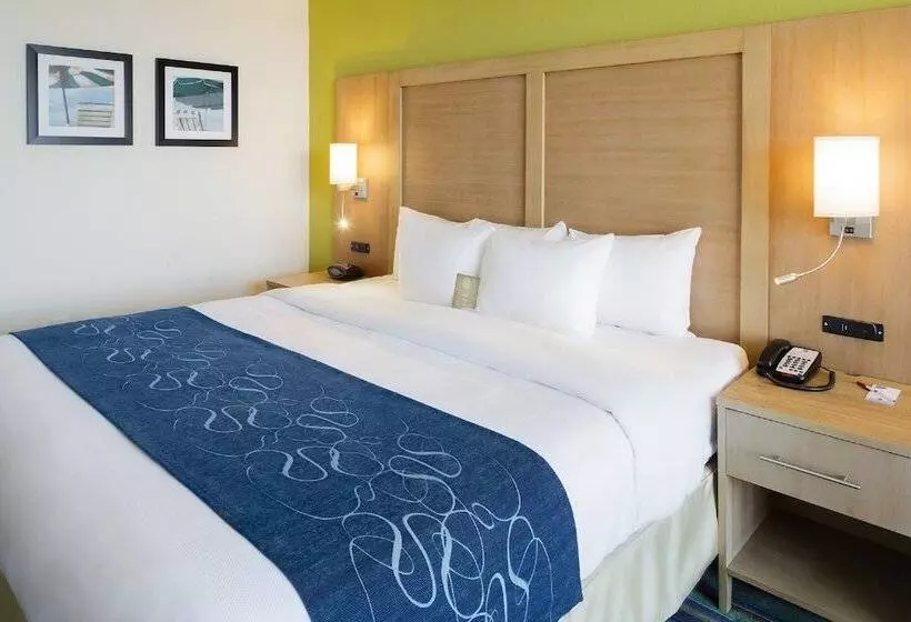 身障者適用スイートルーム, Comfort Suites Beachfront