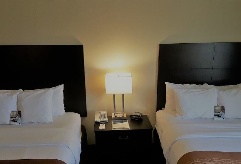 套房, Comfort Suites