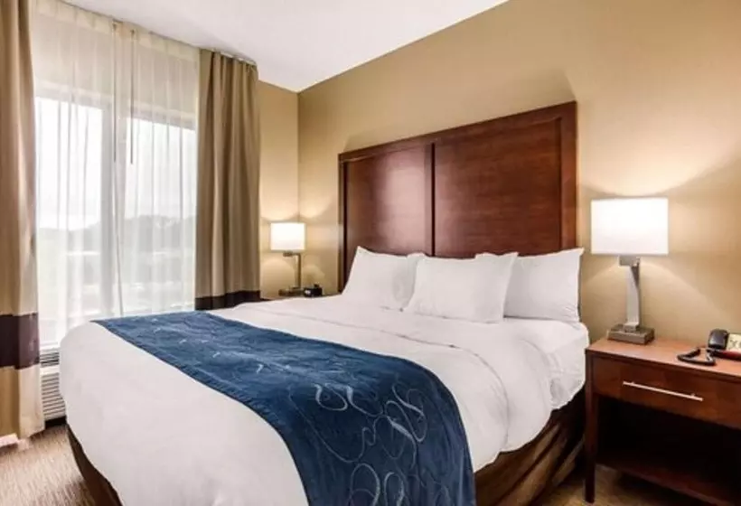 スイート, Comfort Suites Manchester