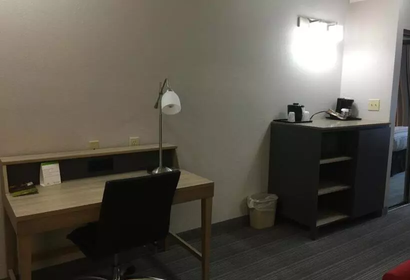 身障者適用キングサイズベッドルーム, Country Inn & Suites By Radisson, Camp Springs Andrews Air Force Base , Md