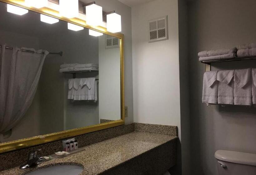 Номер Стандарт Кровать Кинг Адаптированный для Инвалидов, Country Inn & Suites By Radisson, Camp Springs Andrews Air Force Base , Md