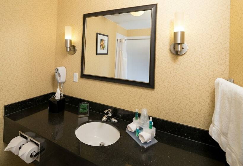 套房, Holiday Inn Express And Suites Detroit North Troy, An Ihg