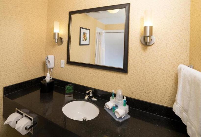 מיטת קינג בסוויטה, Holiday Inn Express And Suites Detroit North Troy, An Ihg