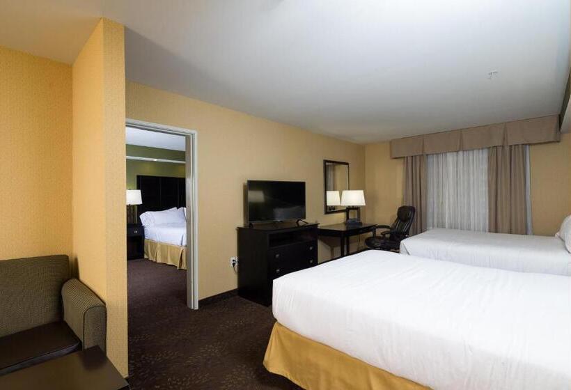 套房, Holiday Inn Express And Suites Detroit North Troy, An Ihg