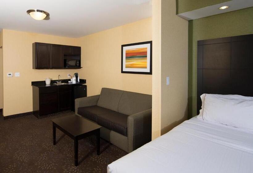 סוויטה מותאמת לאדם עם מוגבלויות, Holiday Inn Express And Suites Detroit North Troy, An Ihg
