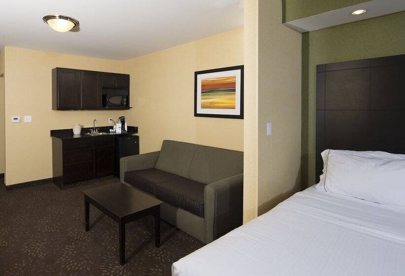 身障者適用スイートルーム, Holiday Inn Express And Suites Detroit North Troy, An Ihg