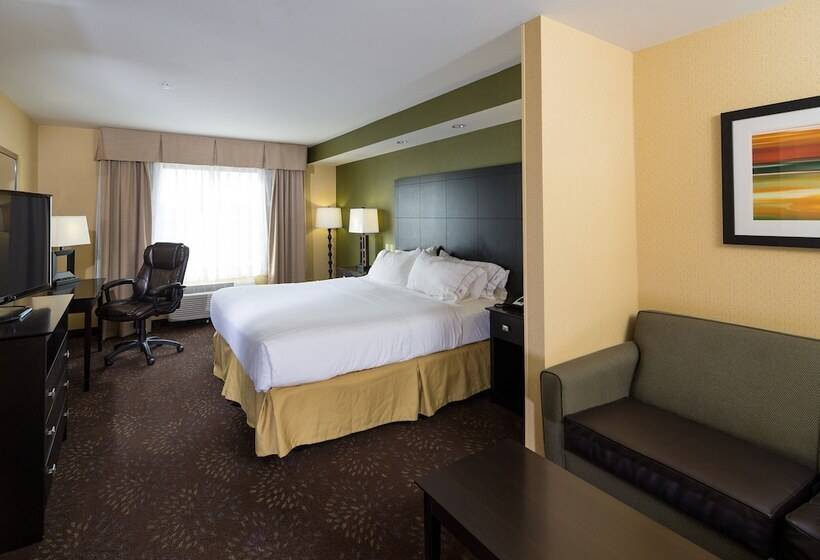סוויטה מותאמת לאדם עם מוגבלויות, Holiday Inn Express And Suites Detroit North Troy, An Ihg