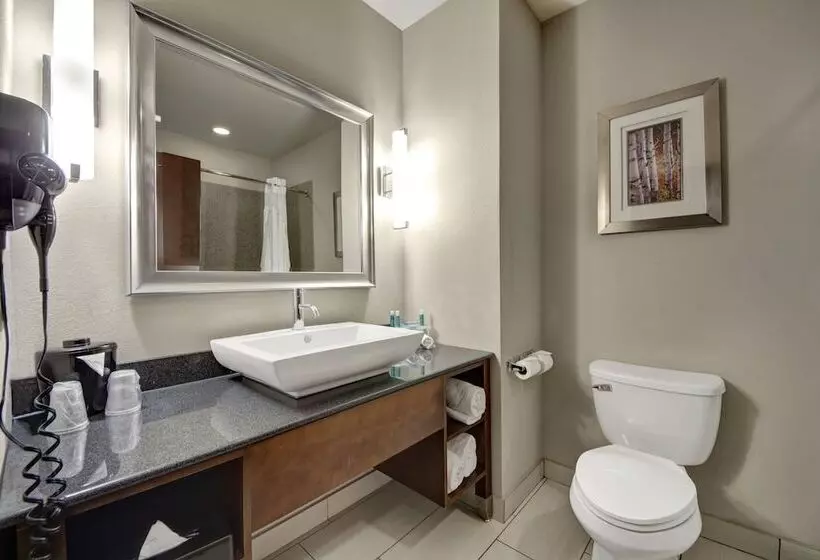 スイート, Holiday Inn Express And Suites Oklahoma City North, An Ihg