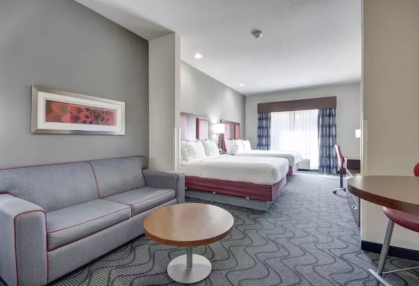 スイート, Holiday Inn Express And Suites Oklahoma City North, An Ihg
