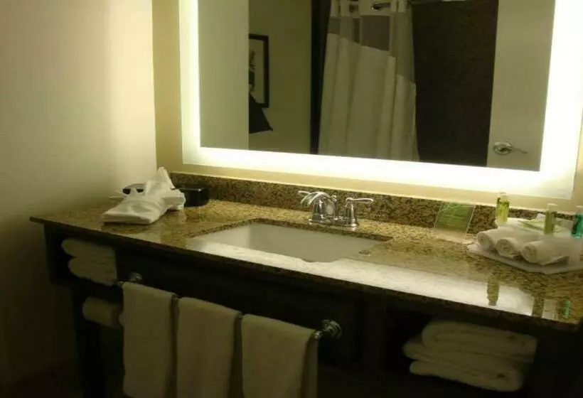 スタンダードルーム, Holiday Inn Express Pocatello, An Ihg
