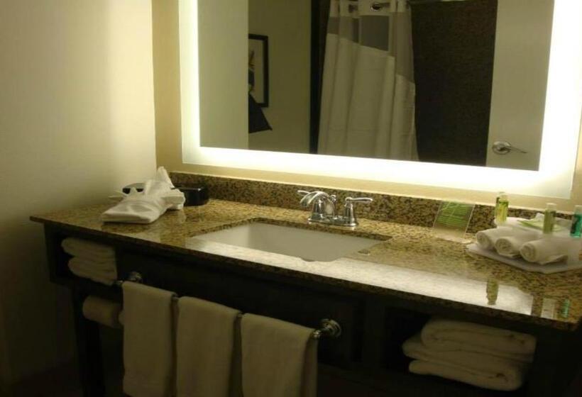 اتاق استاندارد با تخت بزرگ, Holiday Inn Express Pocatello, An Ihg