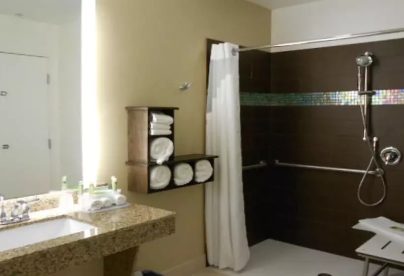 スイート, Holiday Inn Express Pocatello, An Ihg