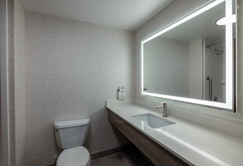 Номер Стандарт, Holiday Inn Express Rochester South Mayo Area, An Ihg