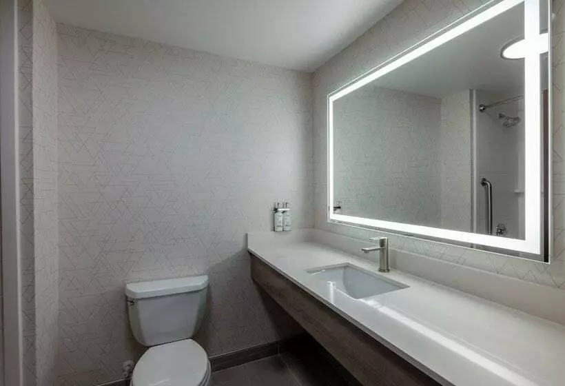 اتاق استاندارد, Holiday Inn Express Rochester South   Mayo Area, An Ihg