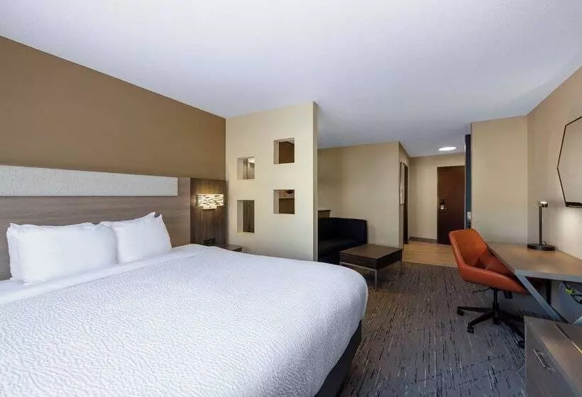 اتاق استاندارد, Holiday Inn Express Rochester South   Mayo Area, An Ihg