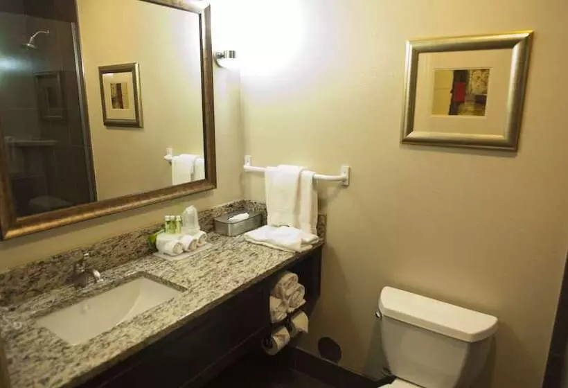 Standard-huone, Holiday Inn Express Walla Walla, An Ihg