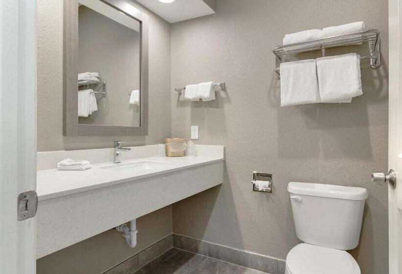 اتاق سوپریور با چشمانداز دریا, Red Roof Inn Plus + Galveston Beachfront