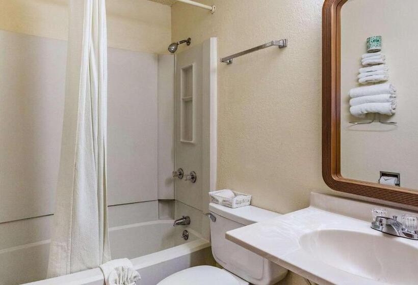 キングサイズベッドのスタンダードルーム, Rodeway Inn