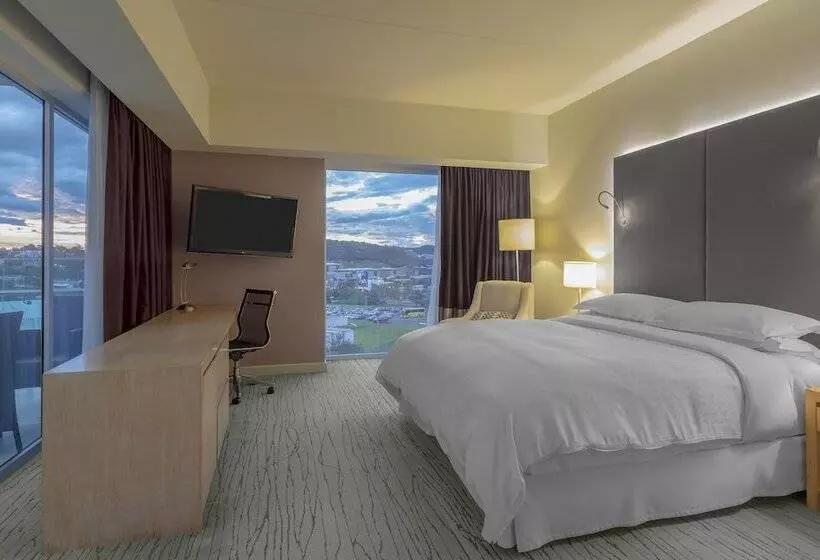 バルコニー付きデラックスルーム, Sheraton San Jose Hotel, Costa Rica