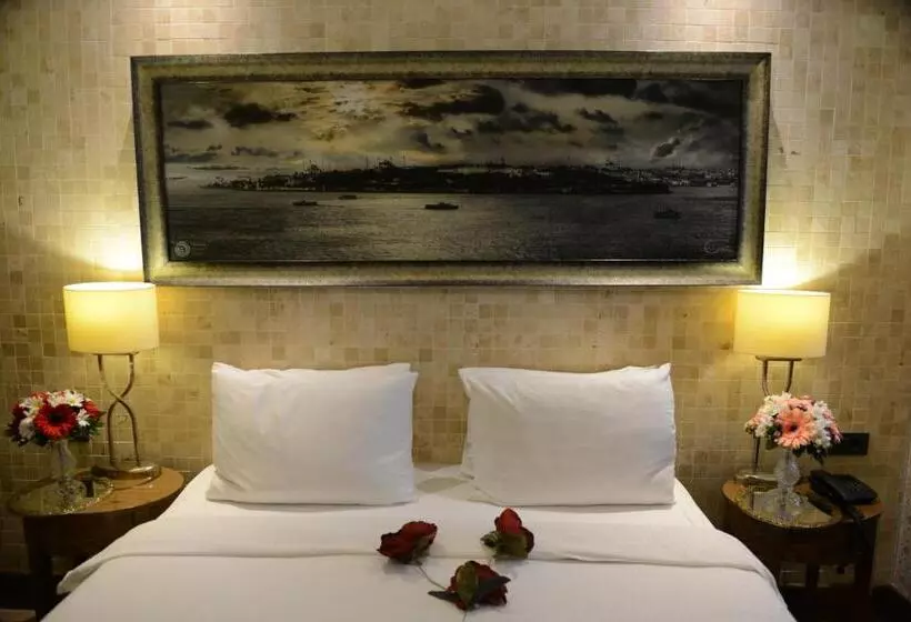 スーペリアールーム, Style Hotel Sisli