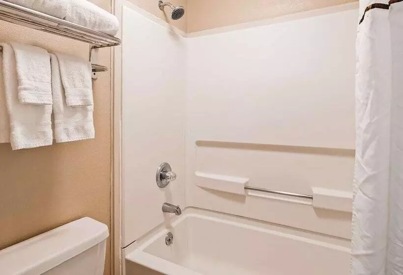 スイート, Surestay Plus Hotel By Best Western Jackson