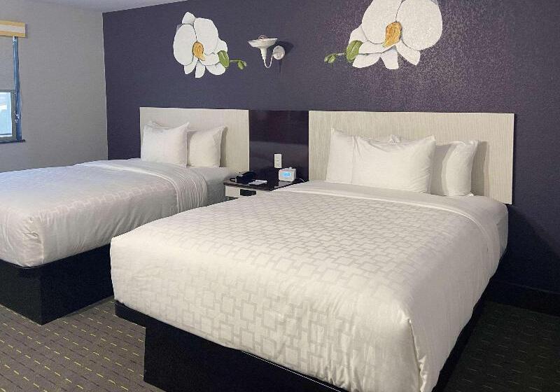 クイーンサイズベッドのスタンダードルーム, Clarion Pointe Tallahassee State Capitol