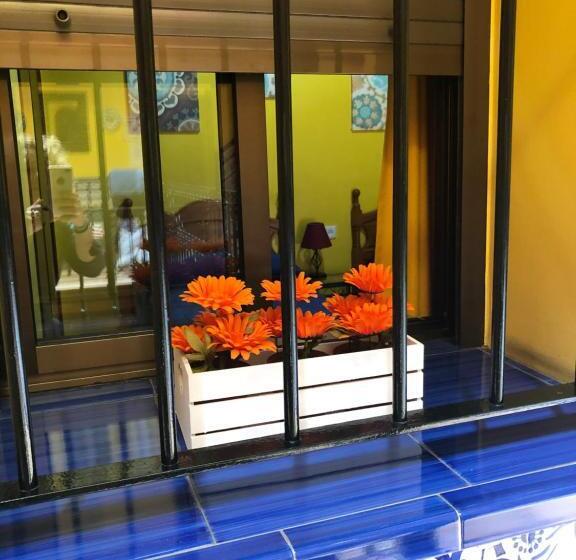 اتاق استاندارد, Pensión Macarena