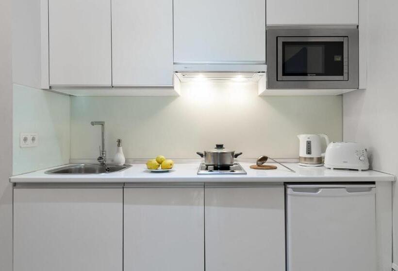 带1个卧室的高级公寓, Suites Sevilla Plaza