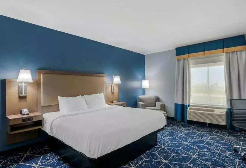 اتاق استاندارد با تخت بزرگ برای معلولان, Best Western Plus St. Louis Airport