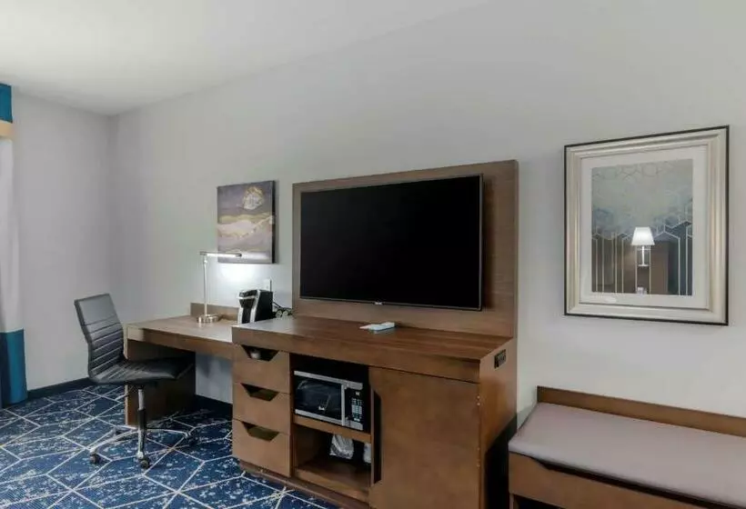 اتاق استاندارد با تخت بزرگ برای معلولان, Best Western Plus St. Louis Airport