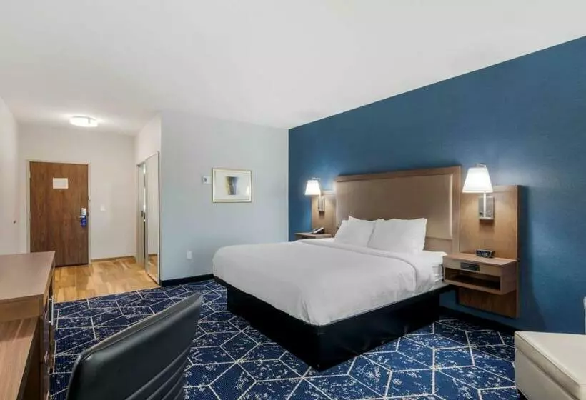 اتاق استاندارد با تخت بزرگ برای معلولان, Best Western Plus St. Louis Airport