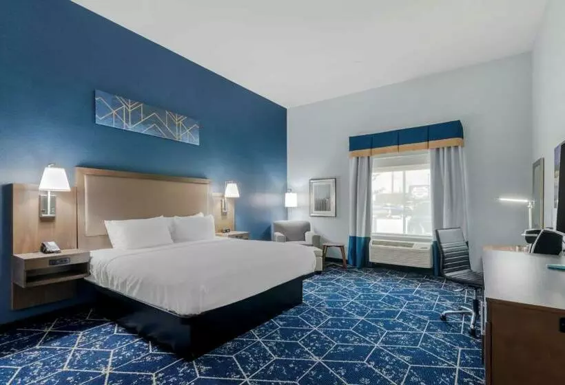 اتاق استاندارد با تخت بزرگ برای معلولان, Best Western Plus St. Louis Airport