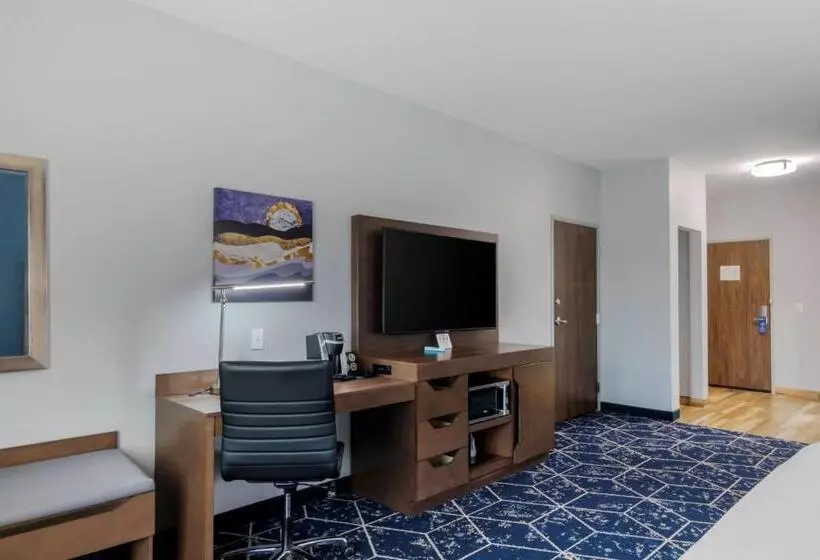 اتاق استاندارد برای معلولان, Best Western Plus St. Louis Airport