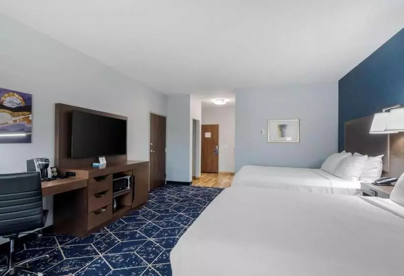 اتاق استاندارد برای معلولان, Best Western Plus St. Louis Airport