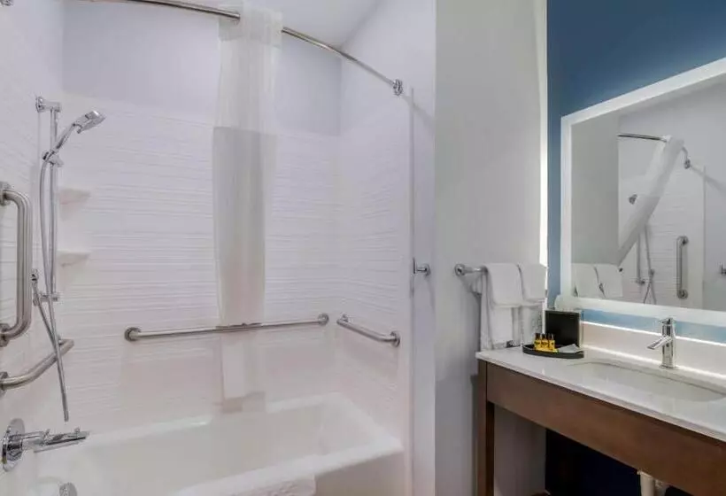 اتاق استاندارد برای معلولان, Best Western Plus St. Louis Airport