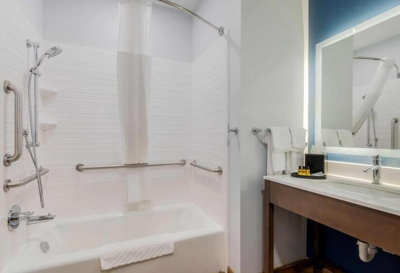 Номер Стандарт Адаптированный для Инвалидов, Best Western Plus St. Louis Airport
