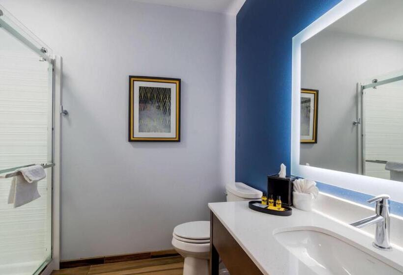 Стандартный Номер Кровать Кинг, Best Western Plus St. Louis Airport