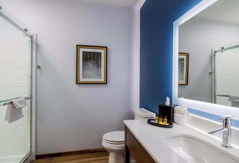 اتاق استاندارد با تخت بزرگ, Best Western Plus St. Louis Airport