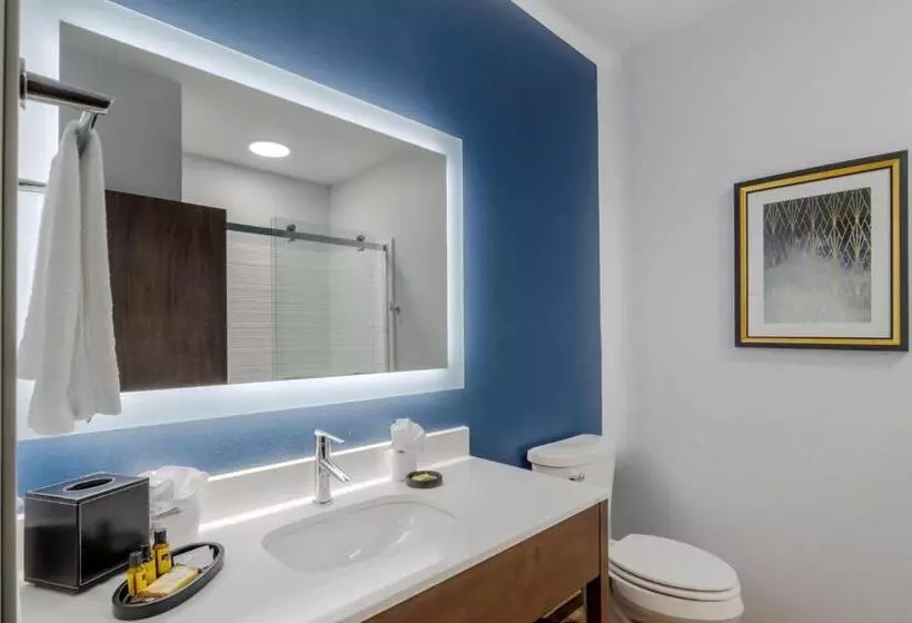 اتاق استاندارد با تخت بزرگ, Best Western Plus St. Louis Airport