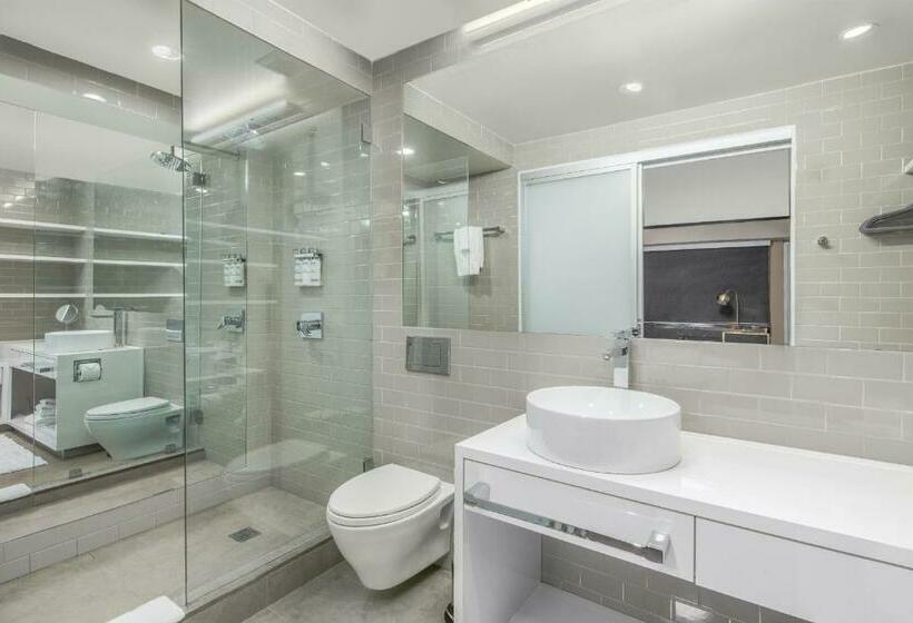 行政套房, Cachet Boutique  Nyc