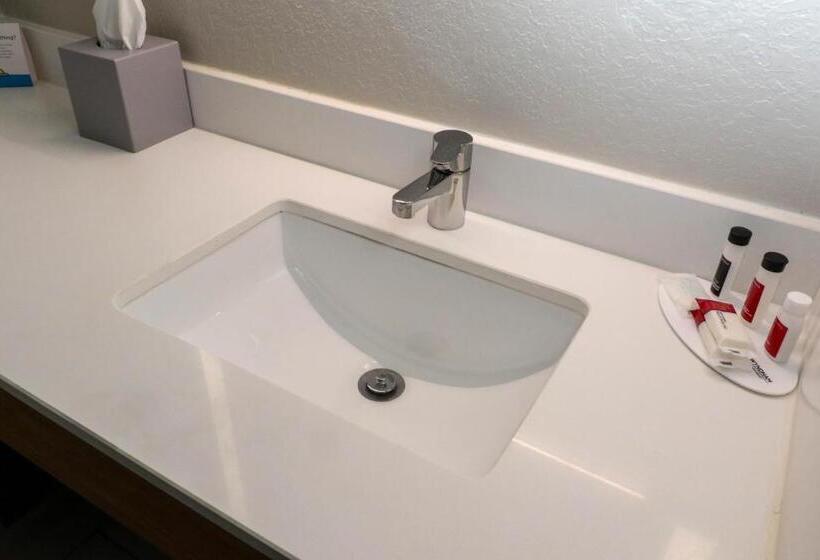 身障者適用キングサイズベッドルーム, Days Inn By Wyndham Farmville